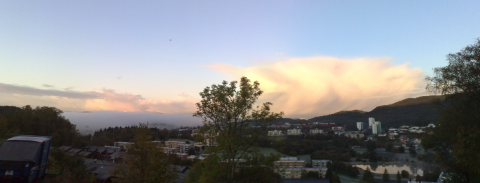 021020091747_stitch