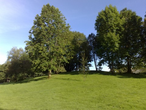 Resehaugen Resehaugen