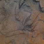 080520091183 080520091183
