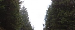 090420091049 090420091049