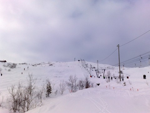 14022009779 Kvamskogen