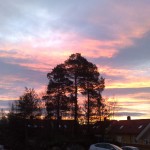 15-sunrise 15 - Sunrise