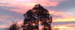 15 - Sunrise