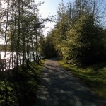 Store Lungårdsvann