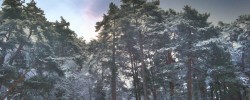 Første snøfall