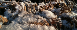 IMG_1739_stitch