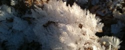 Time for ice crystals