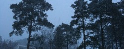 Finally more snow