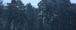 IMG_1895