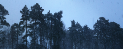 IMG_1902_stitch