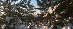A relaxing day in the snow and sofa