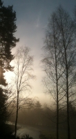 Incoming fog