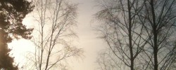 IMG_5354_2