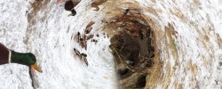 IMG_0256
