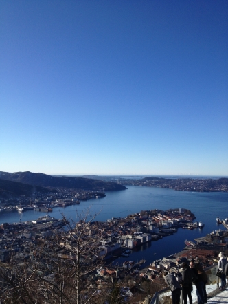 Fløyen