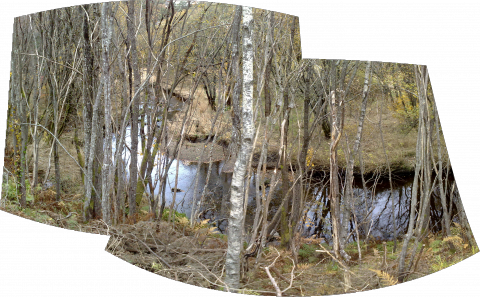 241020091892_stitch