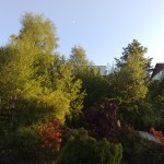 290520091267