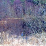 5-local-wildlife 5 - Local wildlife