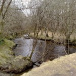 6-local-nature 6 - Local nature