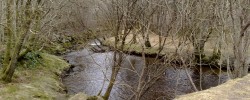 6 - Local nature