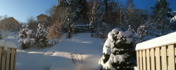 WW – Wintermood at home