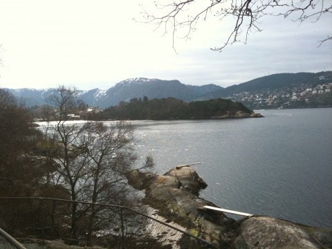 Grønskjæret