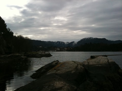 Grønskjæret