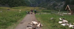 Ordløs onsdag – velkomstkomiteen