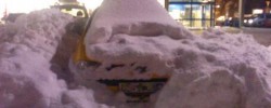 snow1 snow1