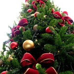 tree tree