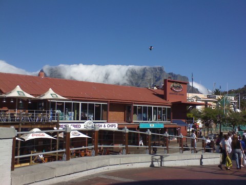 Table Mountain - South-Africa